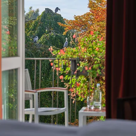 Steigenberger Inselhotel Hotel Konstanz